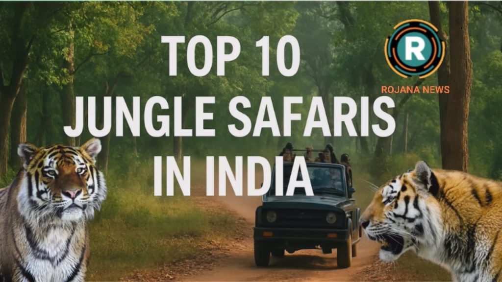 03d42f0f-ab20-4947-a21e-44396dc8607d