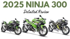 Kawasaki Ninja 300
