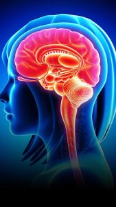 Brain Eating Amoeba: