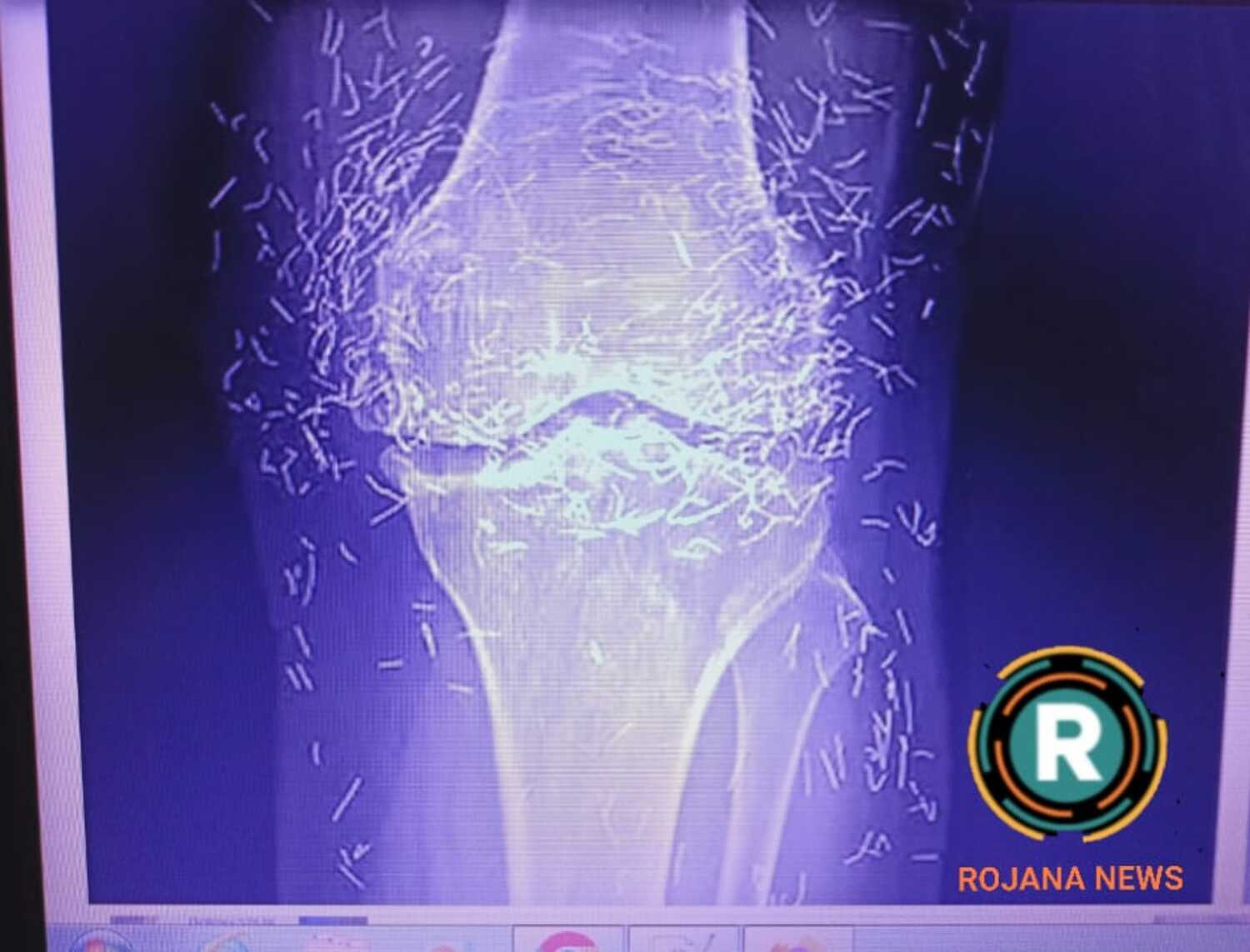 f10645a0-beae-4b96-a106-092715a7