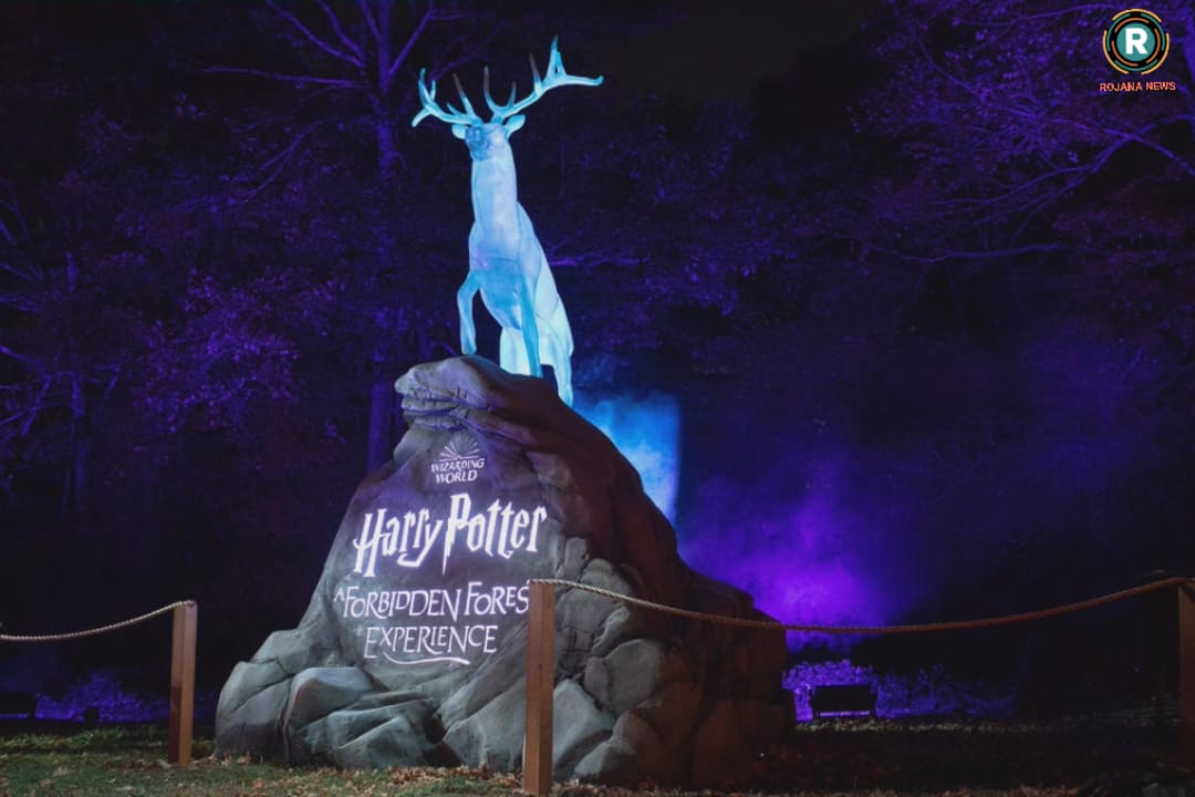 7ac0a765-cf34-4742-83ab-71a1c76f720d