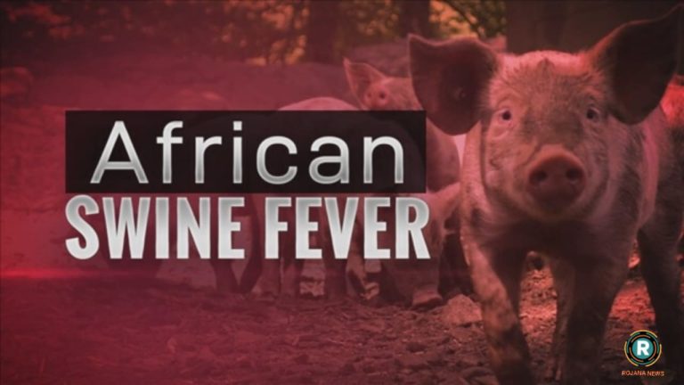 f444958b-873b-4b99-bffe-f41354a7eb99